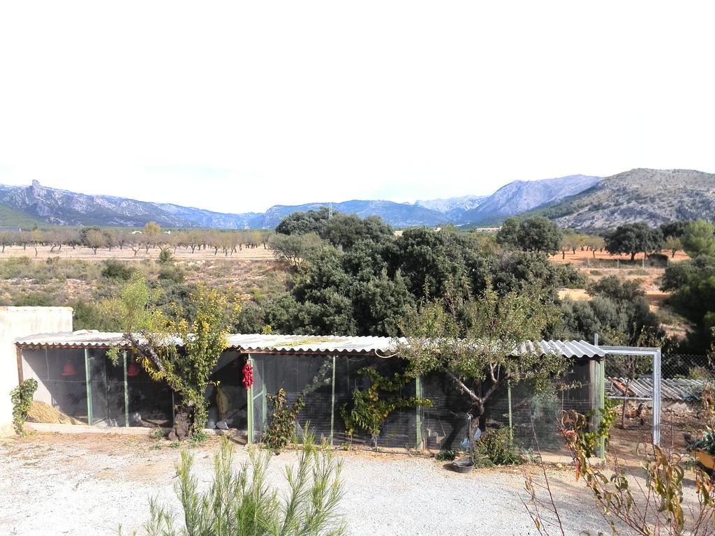 Cabanas Cortijo El Helao Pozo Alcon Exterior photo